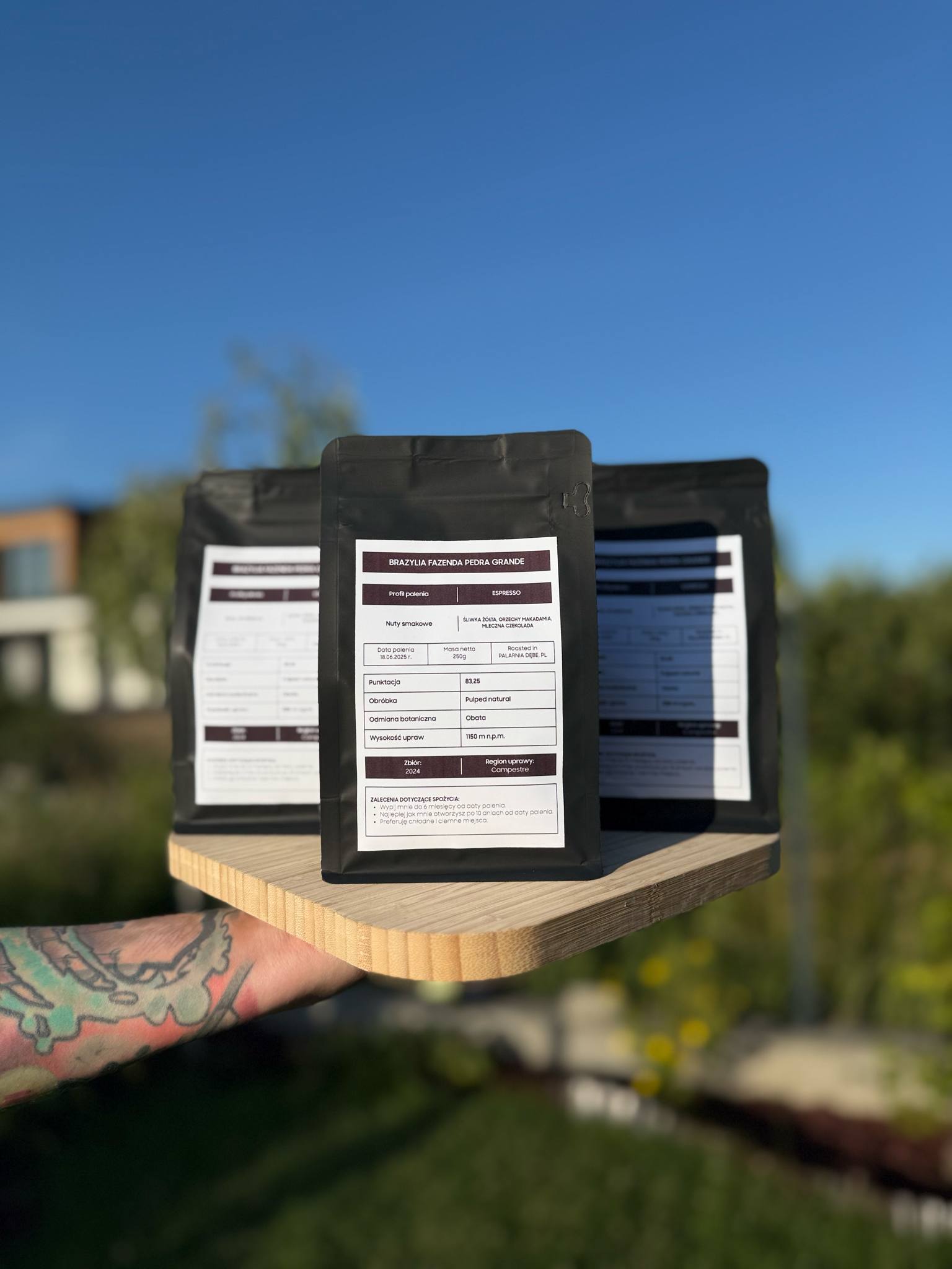 Ziarna dla biura architektonicznego1